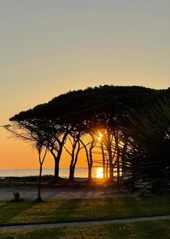 La Perla Del Mare Bed and Breakfast La Caletta Εξωτερικό φωτογραφία